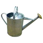 HNH 2 Gallon Galvanised Watering Can and Rose
