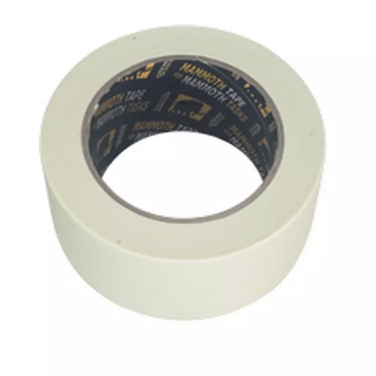 PowerMaster (531078) 9V Super Alkaline Battery 6LR61 Single