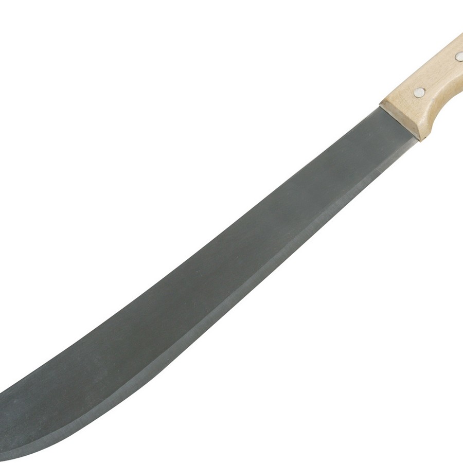 SILGT56 2