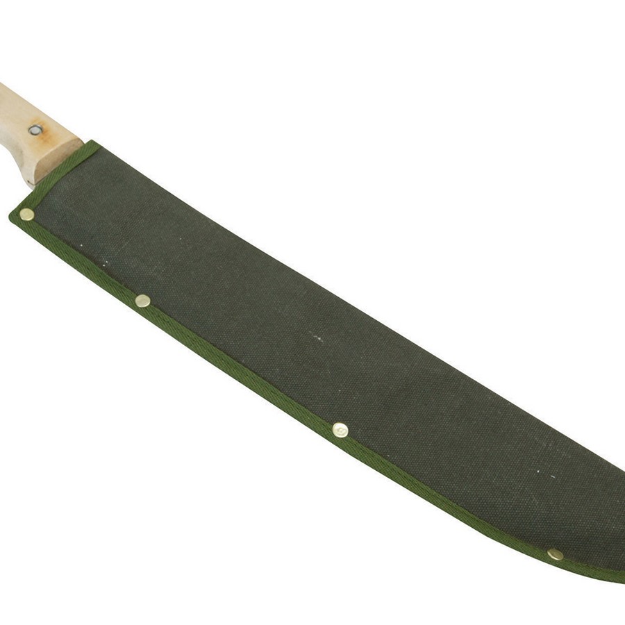 SILGT56 3