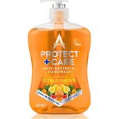 Astonish C4770 Protect and Care Antibacterial Handwash Citrus Grove 650ml