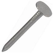 Forge Extra Large Head Clout Nails Galvanised 3.00 x 30mm 1kg Bag