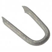 Forge Netting Staples Galvanised 25mm 1Kg Bag * Clearance *