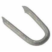 Forge Netting Staple Galvanised 25mm (250gm Bag) * Clearance *