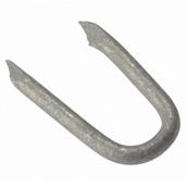 Forge Netting Staple Galvanised 30mm (250gm Bag) * Clearance *