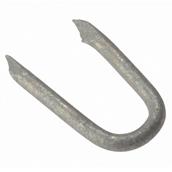 Forge Netting Staple Galvanised 30mm (250gm Bag)