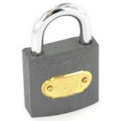 Securit S1120 Tricircle Iron Padlock Brass Cylinder 32mm