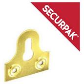 SecurPak SP10089 - Bag/10 Glass Plate Slotted BP 38mm (6)
