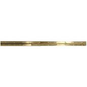 Perry 101 Piano Hinges Electro Brass 32mm x 1830mm