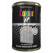 Paint Factory 3069 Colour It Quick Dry Black Iron Gate Paint 300ml