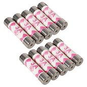 PowerMaster (595539) 3amp Fuses Pack of 10