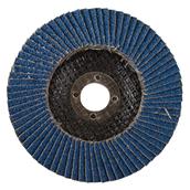 Flap Discs