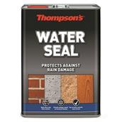 Thompsons Water Seal 5L